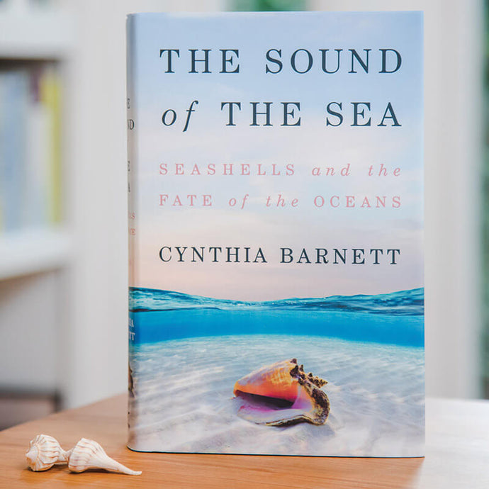 The Sound of the Sea: Seashells and the Fate of the Oceans by Cynthia Barnett