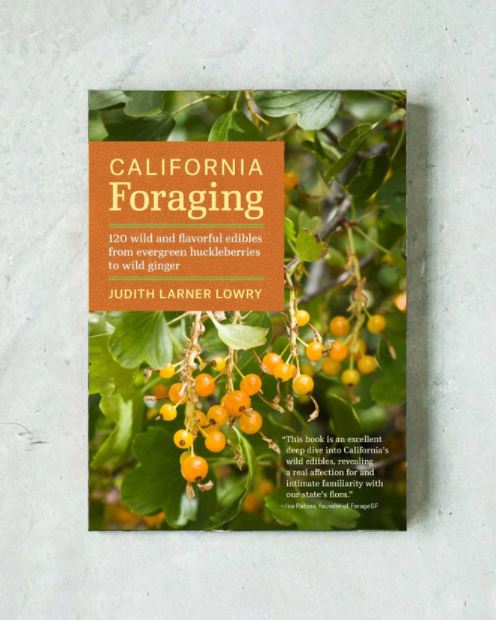 California Foraging by Judith Larner Lowry